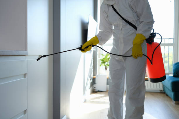 Best Mold Remediation for Schools in Baltic, CT